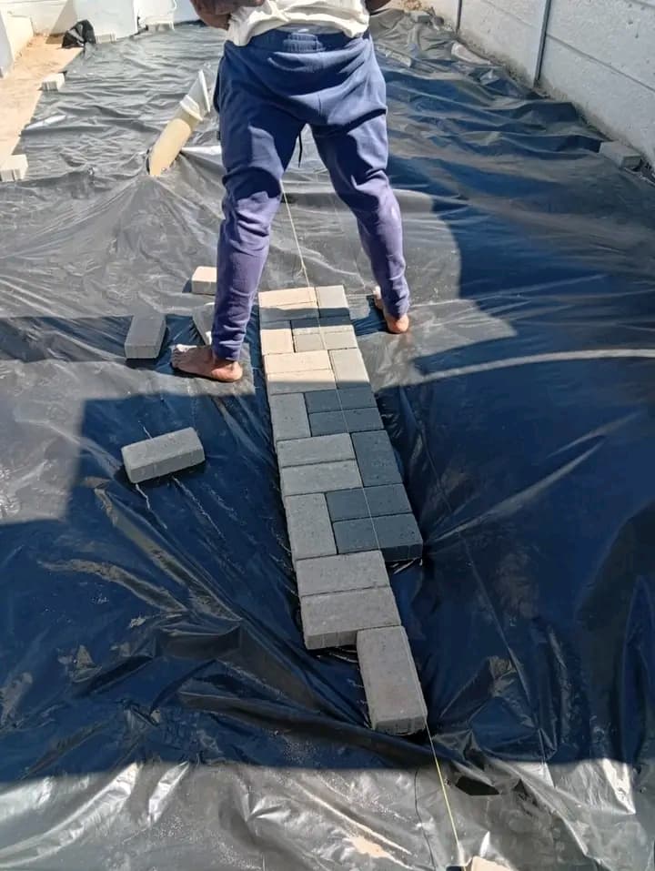 whatsapp image 2025 12 04 at 6.20.12 pm